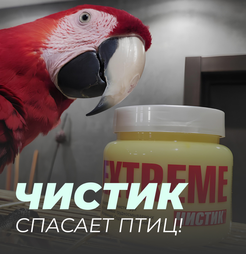 Чистик спасает птиц!